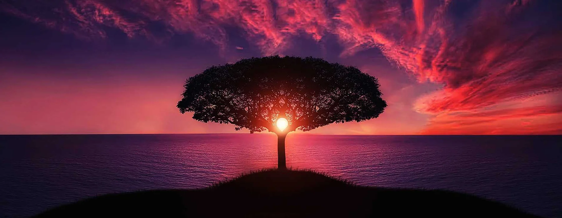 A sunset painting the sky red over the ocean with the last rays of the sun shining through the branches of a single tree.