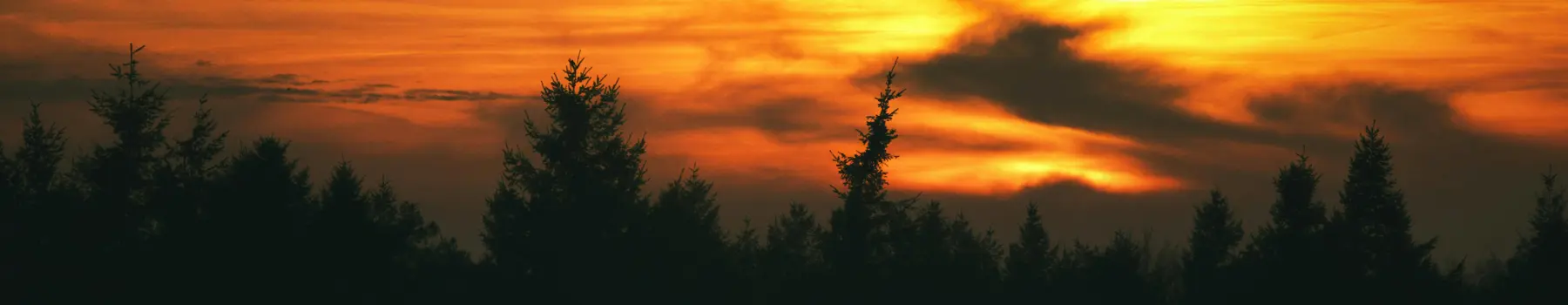 Light is returning with the sunrise in a brilliant orange and red January dawn